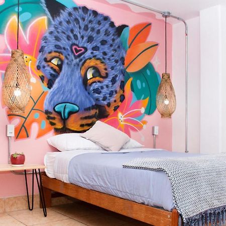 Supertramp Hostel Machupicchu Dış mekan fotoğraf