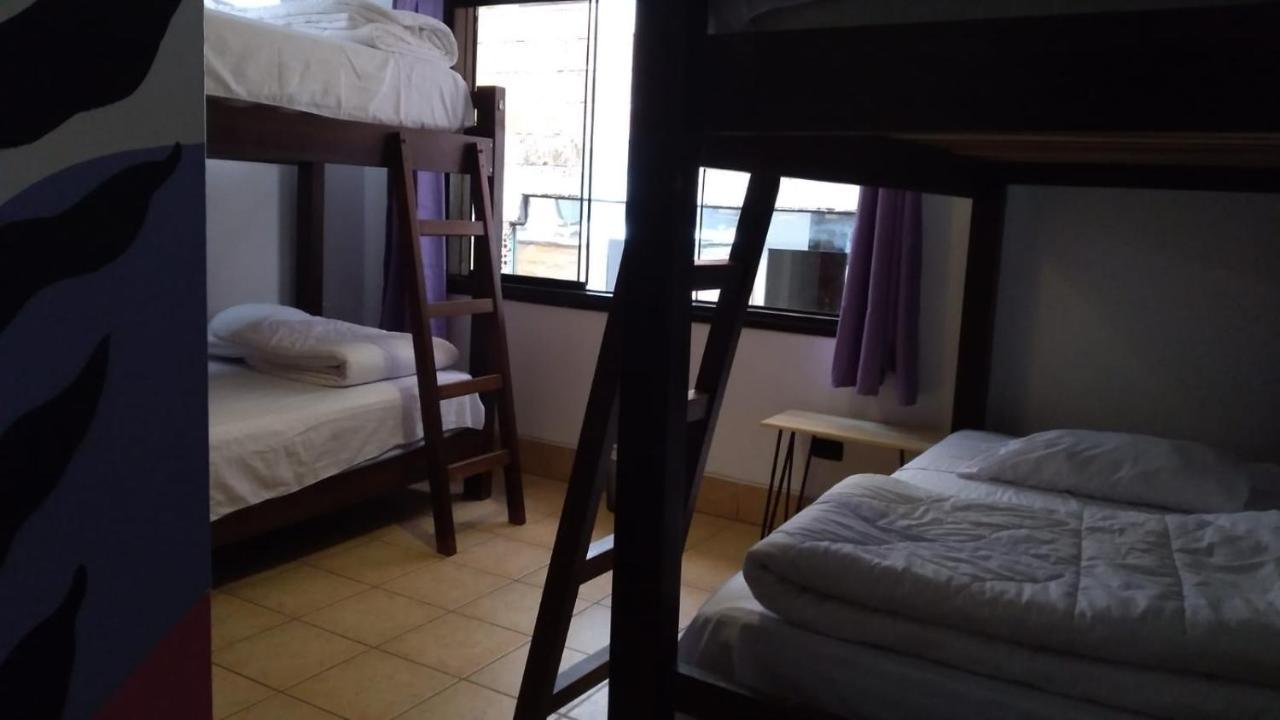 Supertramp Hostel Machupicchu Dış mekan fotoğraf