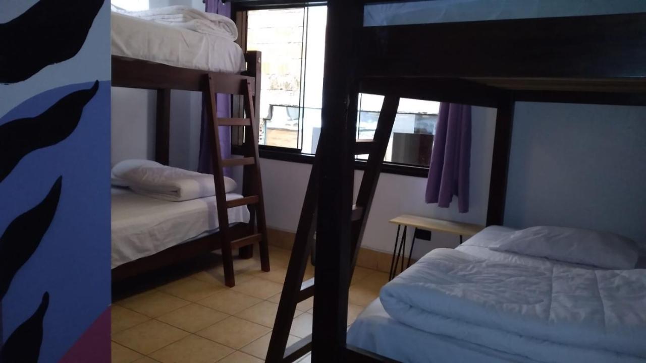 Supertramp Hostel Machupicchu Dış mekan fotoğraf
